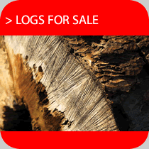 Logs for sale - Newcastle